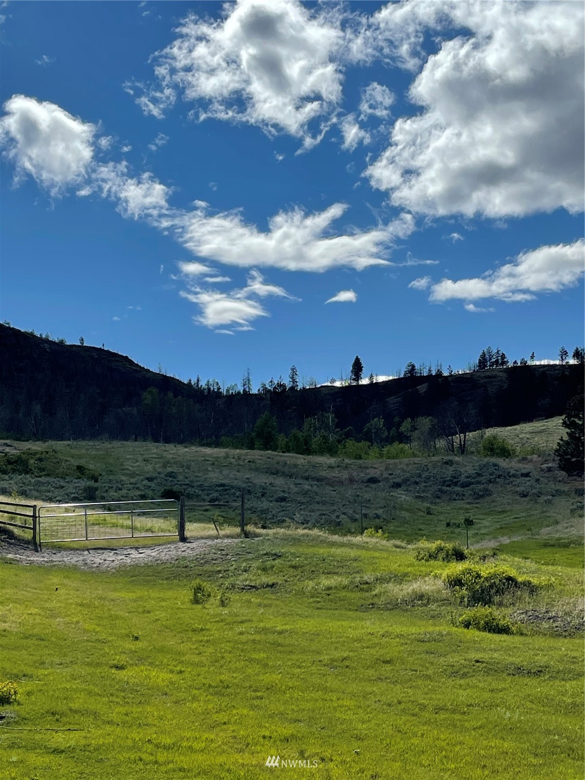 960 X Knox Road Riverside, WA 98849 - Photo 34 of 40 a view of a lake with a mountain