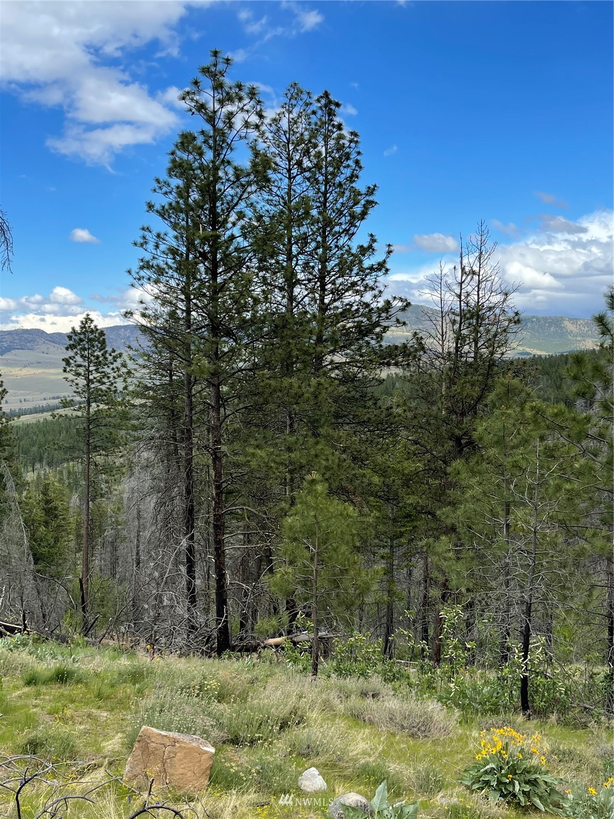 960 X Knox Road Riverside, WA 98849 - Photo 38 of 40 a view of a yard