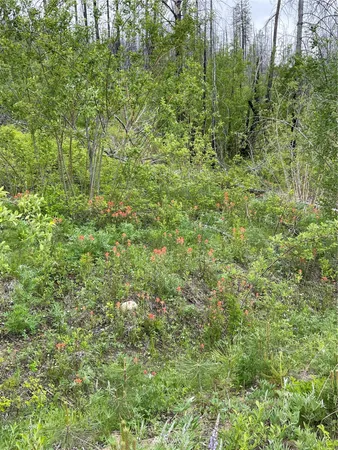 $998,990 | 960 X Knox Road, Riverside, WA 98849