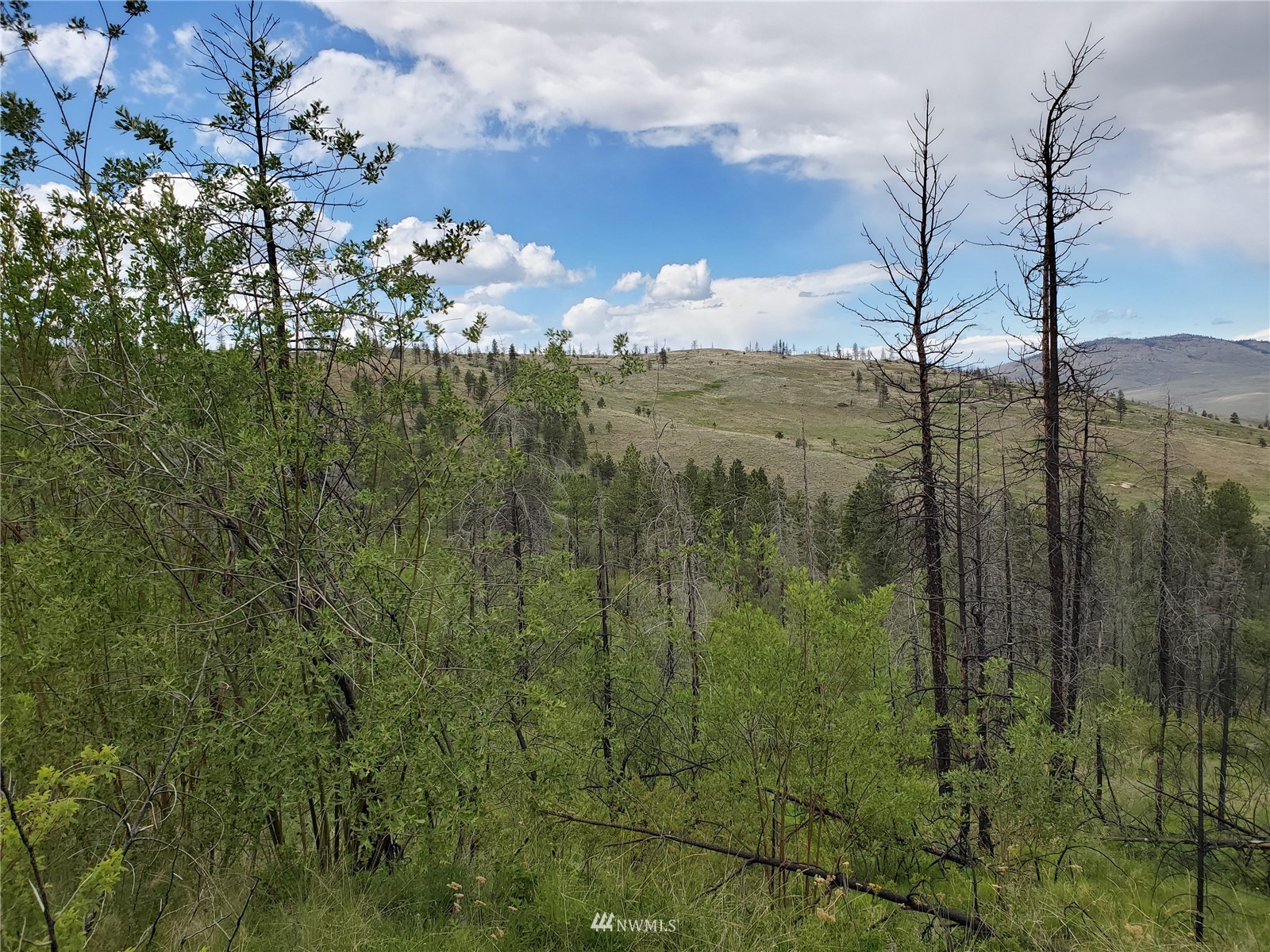 960 X Knox Road Riverside, WA 98849 - Photo 4 of 40 a view of a garden