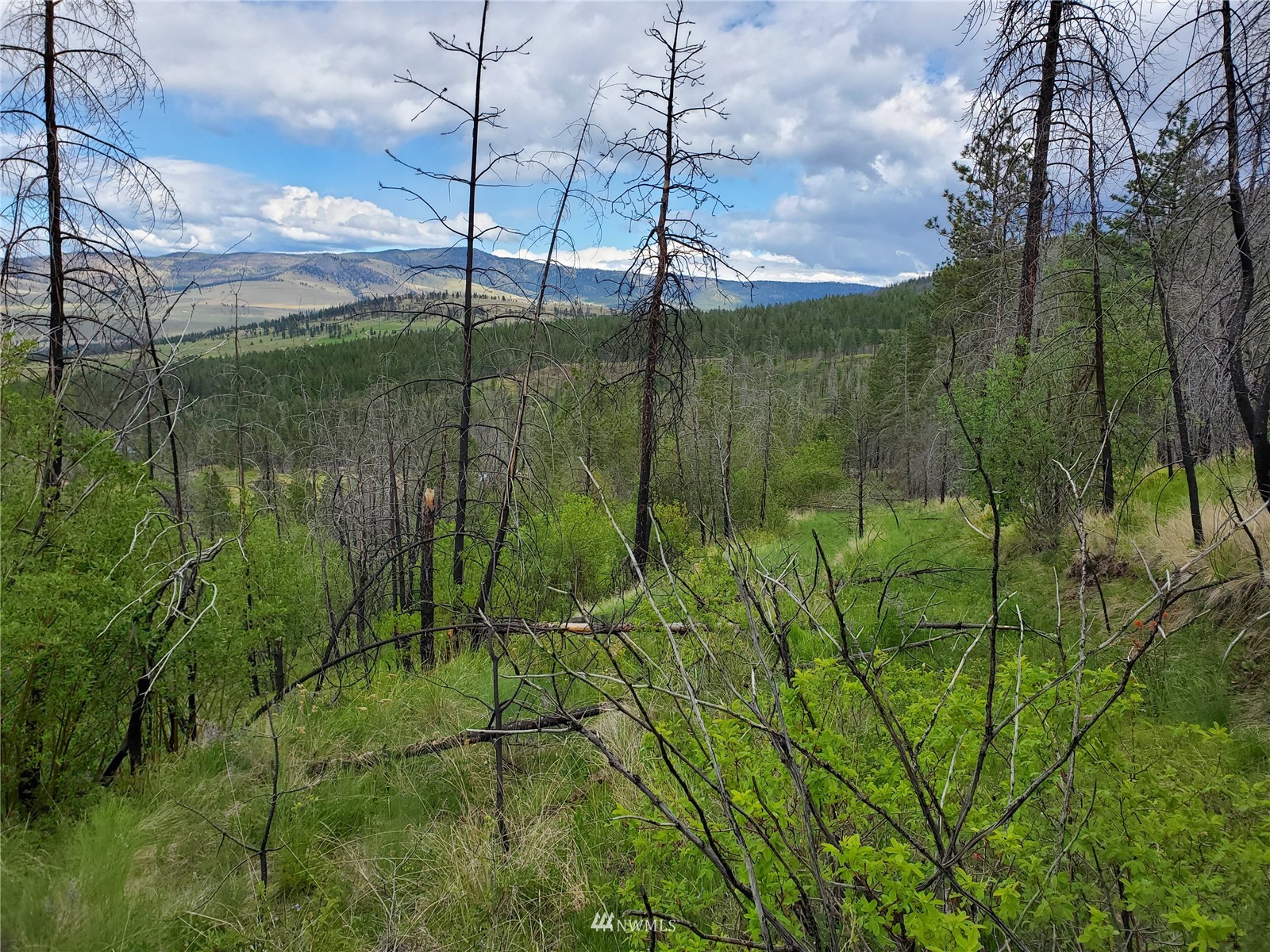 960 X Knox Road Riverside, WA 98849 - Photo 5 of 40 a view of a lake view