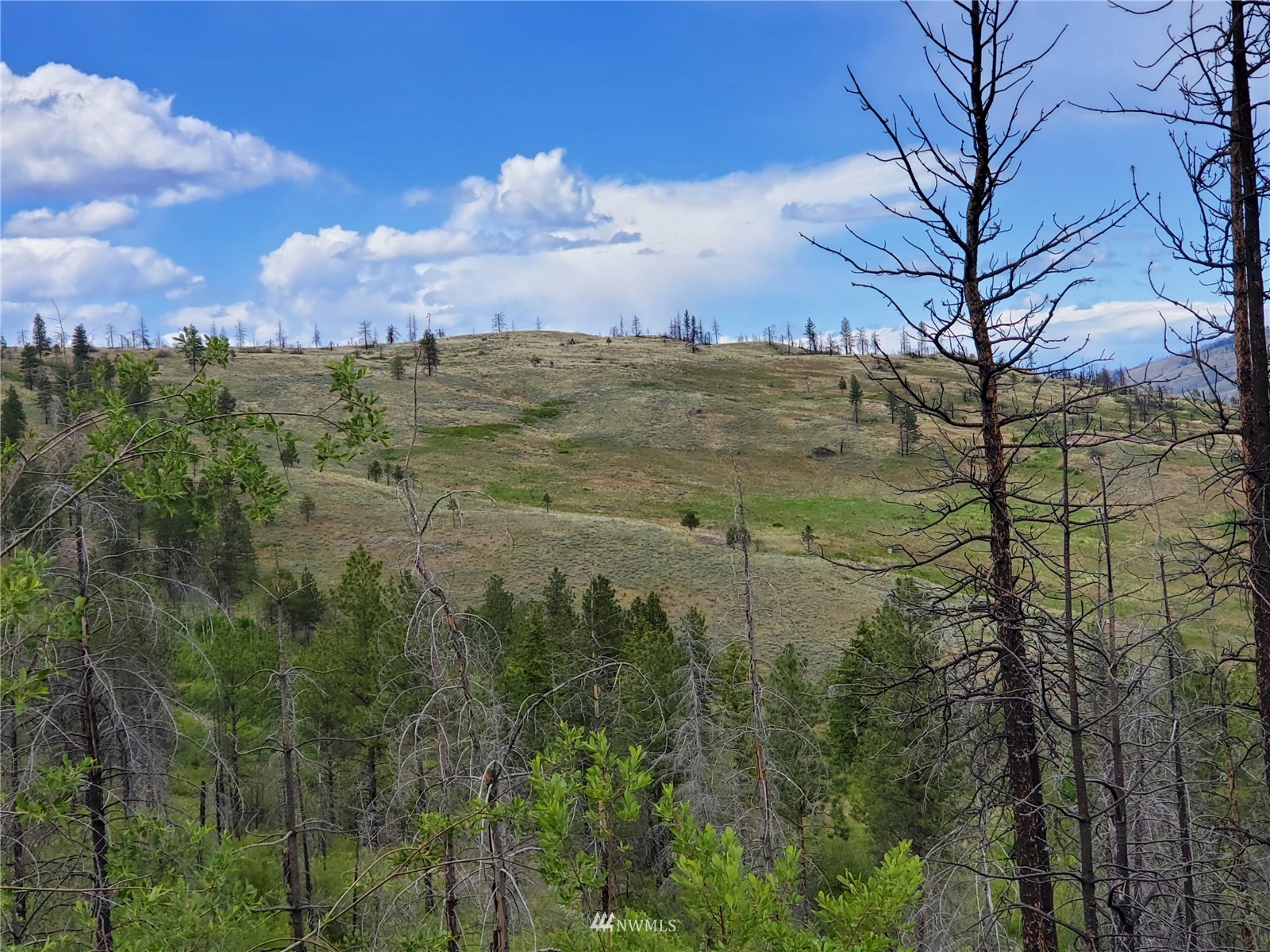 960 X Knox Road Riverside, WA 98849 - Photo 6 of 40