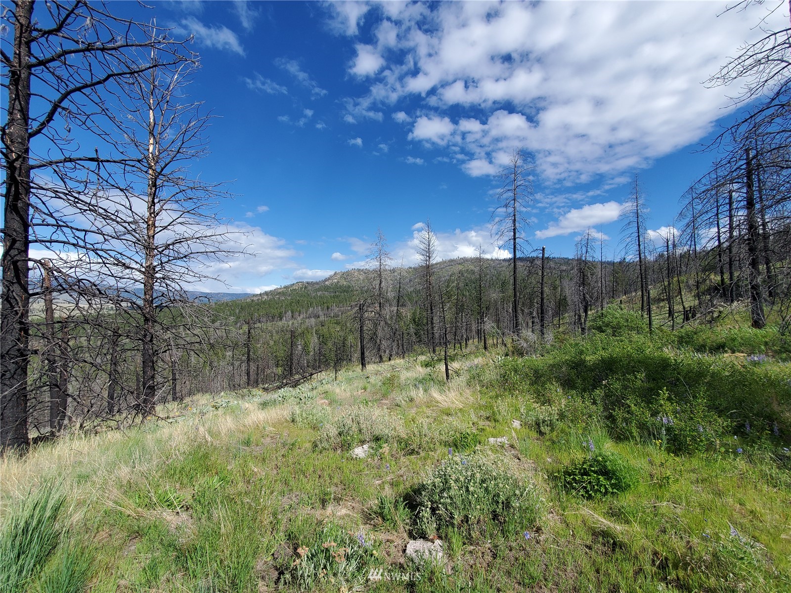 960 X Knox Road Riverside, WA 98849 - Photo 9 of 40 a view of a backyard