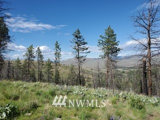 960 X Knox Road Riverside, WA 98849 - Photo 10 of 40 a view of a garden with trees