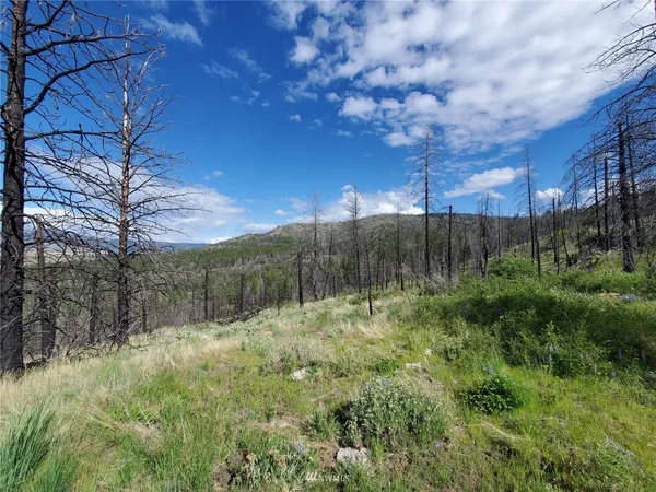 a view of a garden with trees