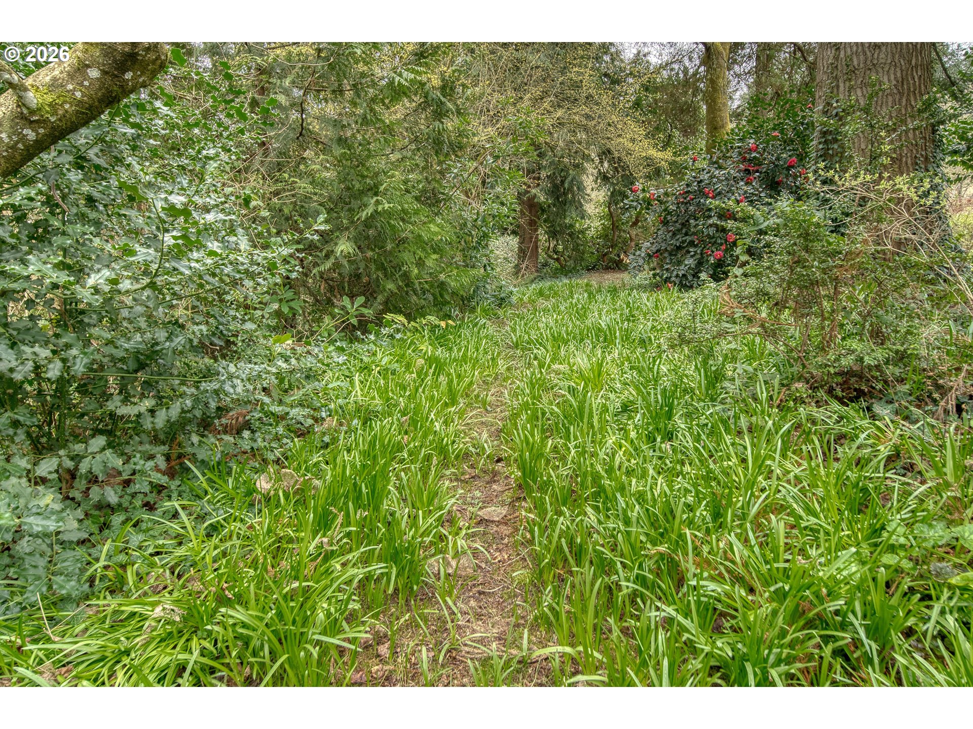 5730 Southwest Shattuck Road Portland, OR 97221 - Photo 39 of 48