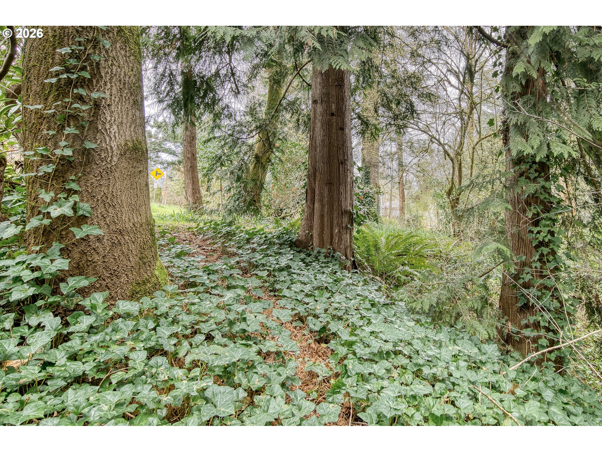 5730 Southwest Shattuck Road Portland, OR 97221 - Photo 40 of 48