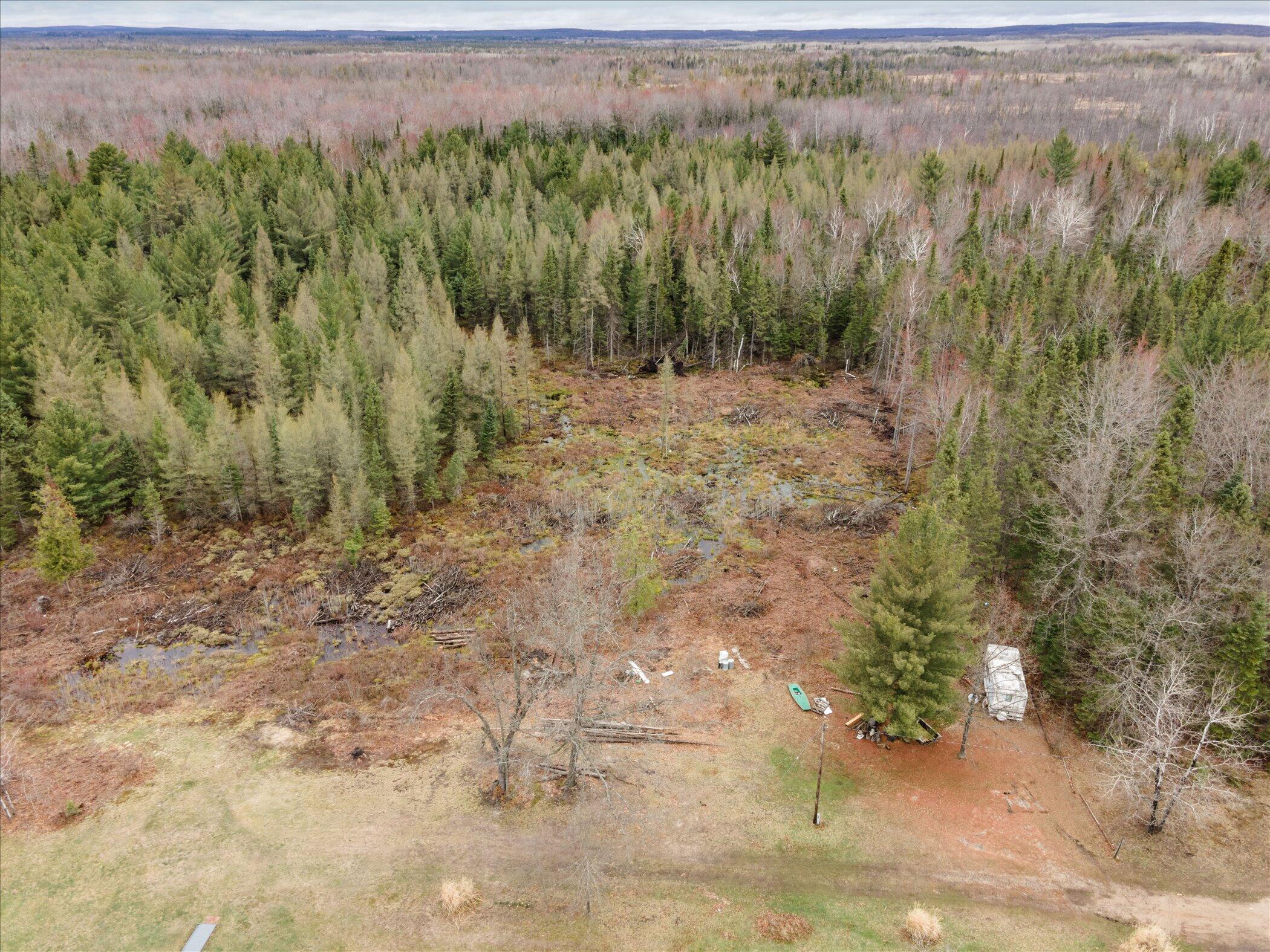 V/l North Town Line Road Houghton Lake, MI 48629 - Photo 11 of 12 09-3441-Townline-Rd-Roscommon-MI-48653-W