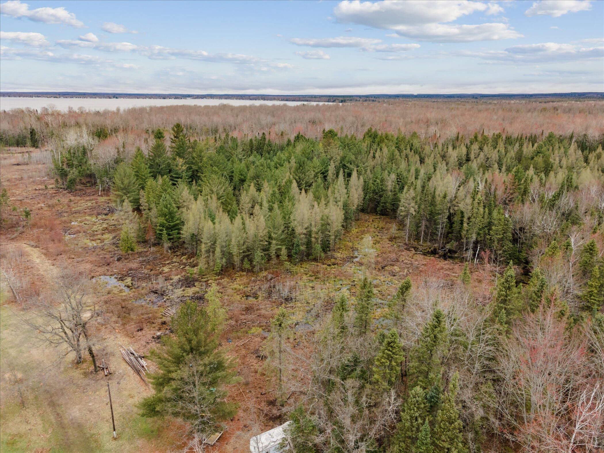 V/l North Town Line Road Houghton Lake, MI 48629 - Photo 12 of 12 10-3441-Townline-Rd-Roscommon-MI-48653-W