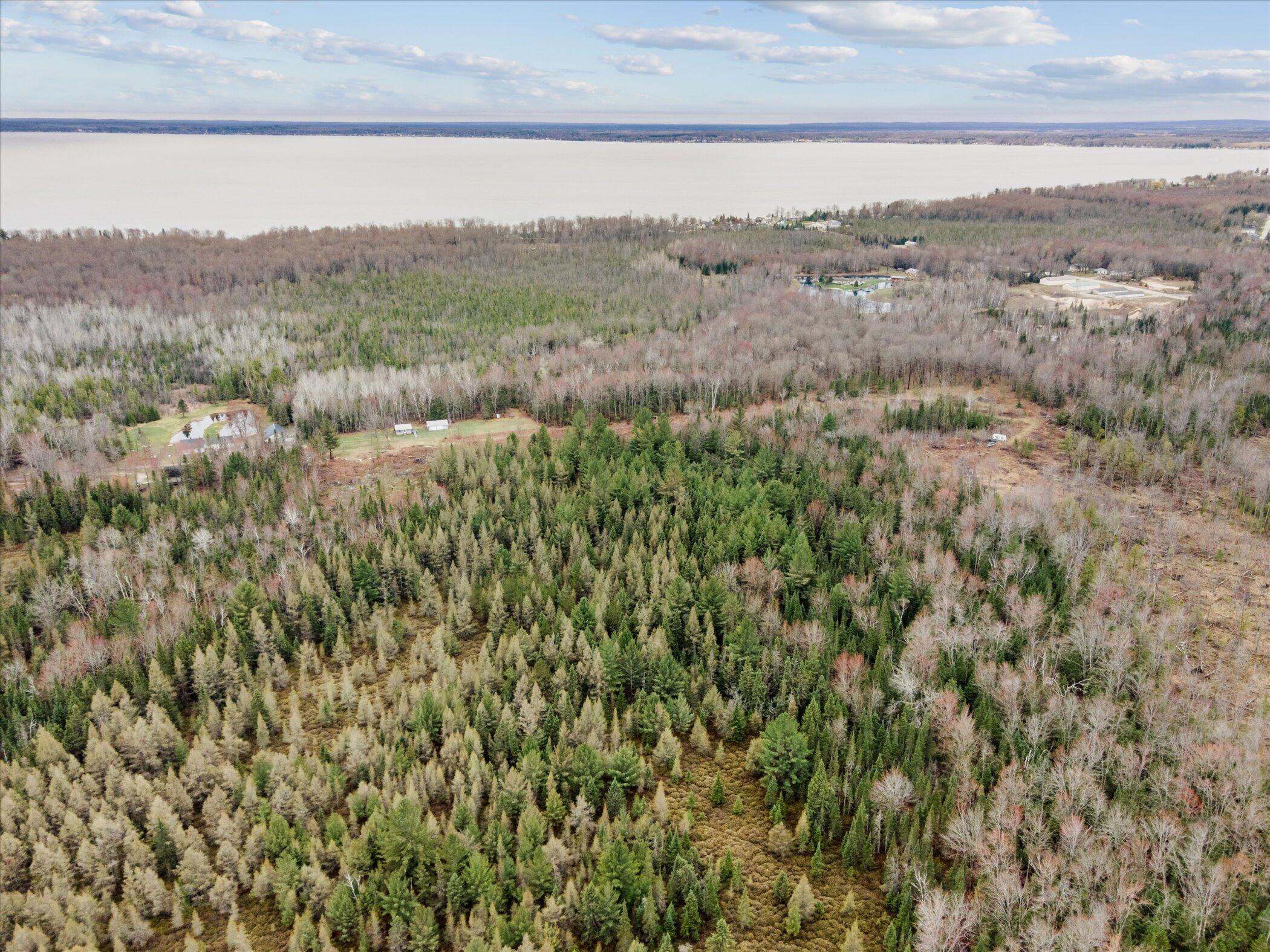 V/l North Town Line Road Houghton Lake, MI 48629 - Photo 6 of 12 04-3441-Townline-Rd-Roscommon-MI-48653-W