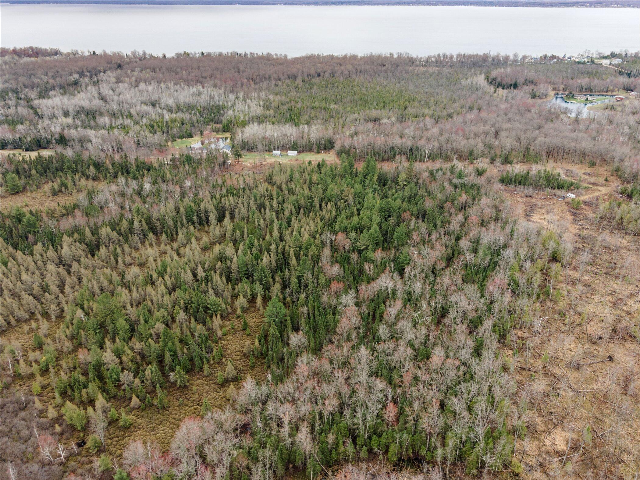 V/l North Town Line Road Houghton Lake, MI 48629 - Photo 7 of 12 05-3441-Townline-Rd-Roscommon-MI-48653-W