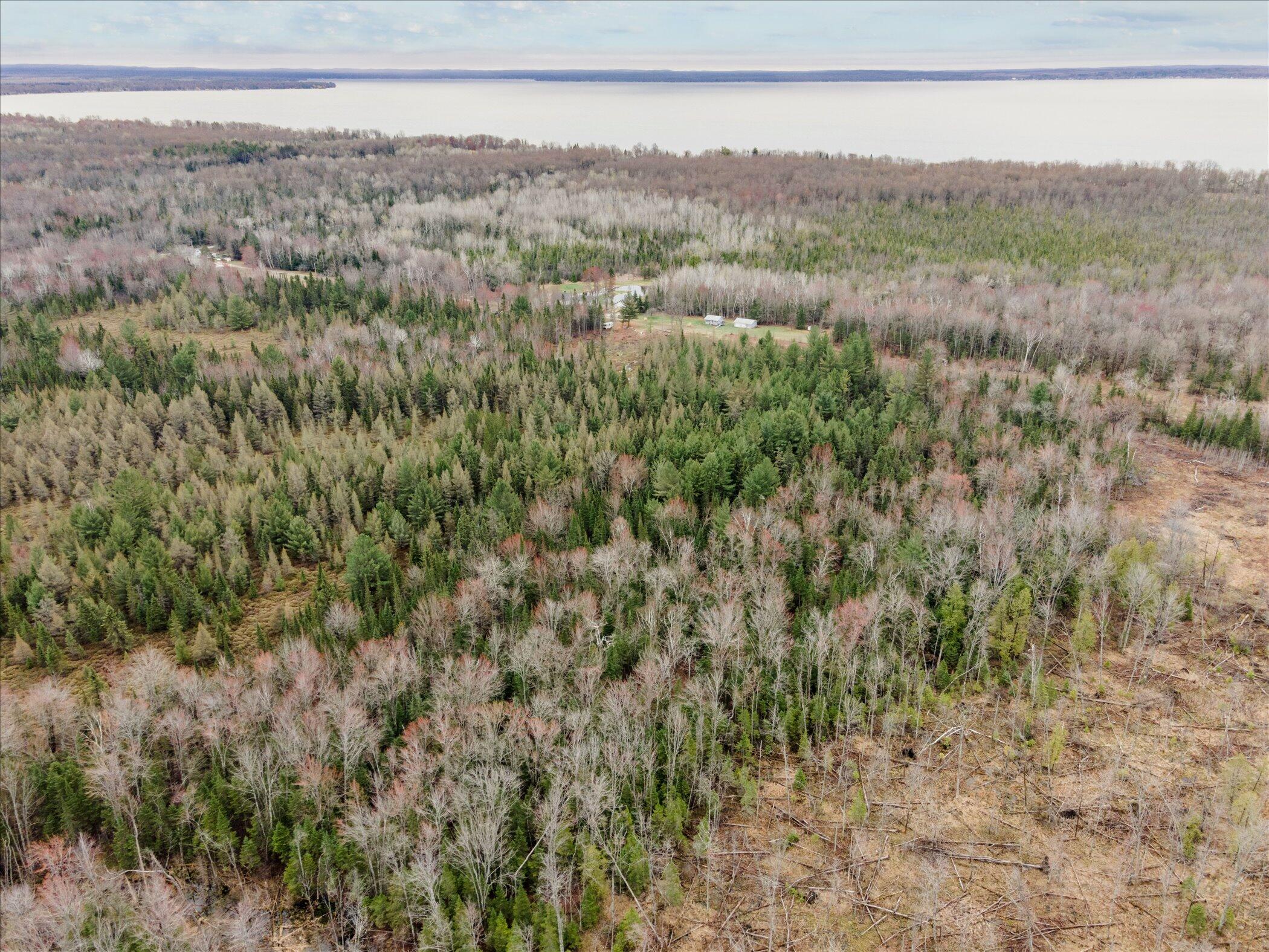 V/l North Town Line Road Houghton Lake, MI 48629 - Photo 8 of 12 06-3441-Townline-Rd-Roscommon-MI-48653-W