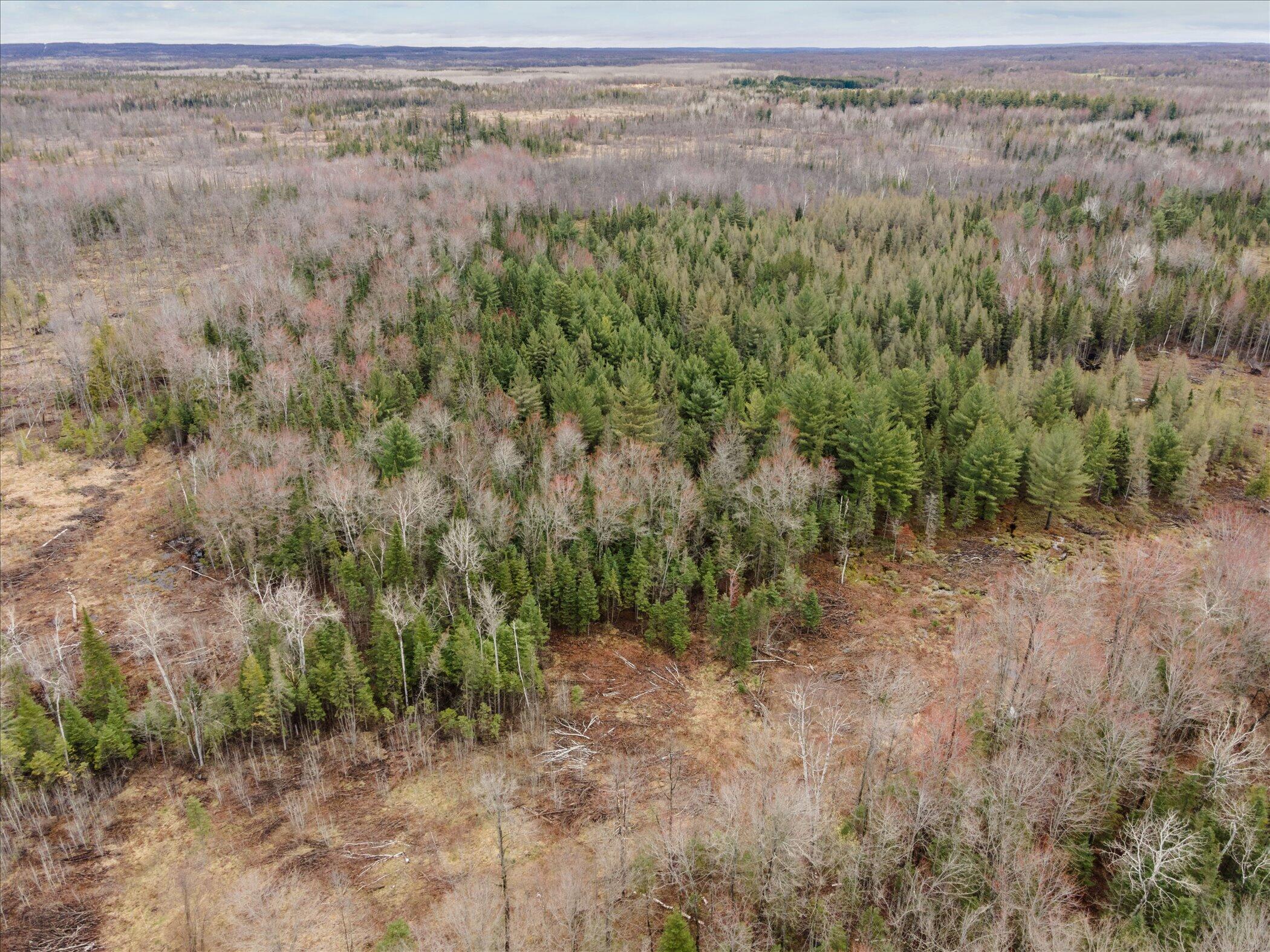 V/l North Town Line Road Houghton Lake, MI 48629 - Photo 10 of 12 08-3441-Townline-Rd-Roscommon-MI-48653-W