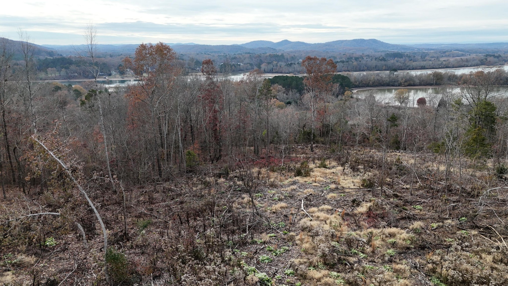 1 Lamontville Road Calhoun, TN 37309 - Photo 18 of 47 Gallery Image 18