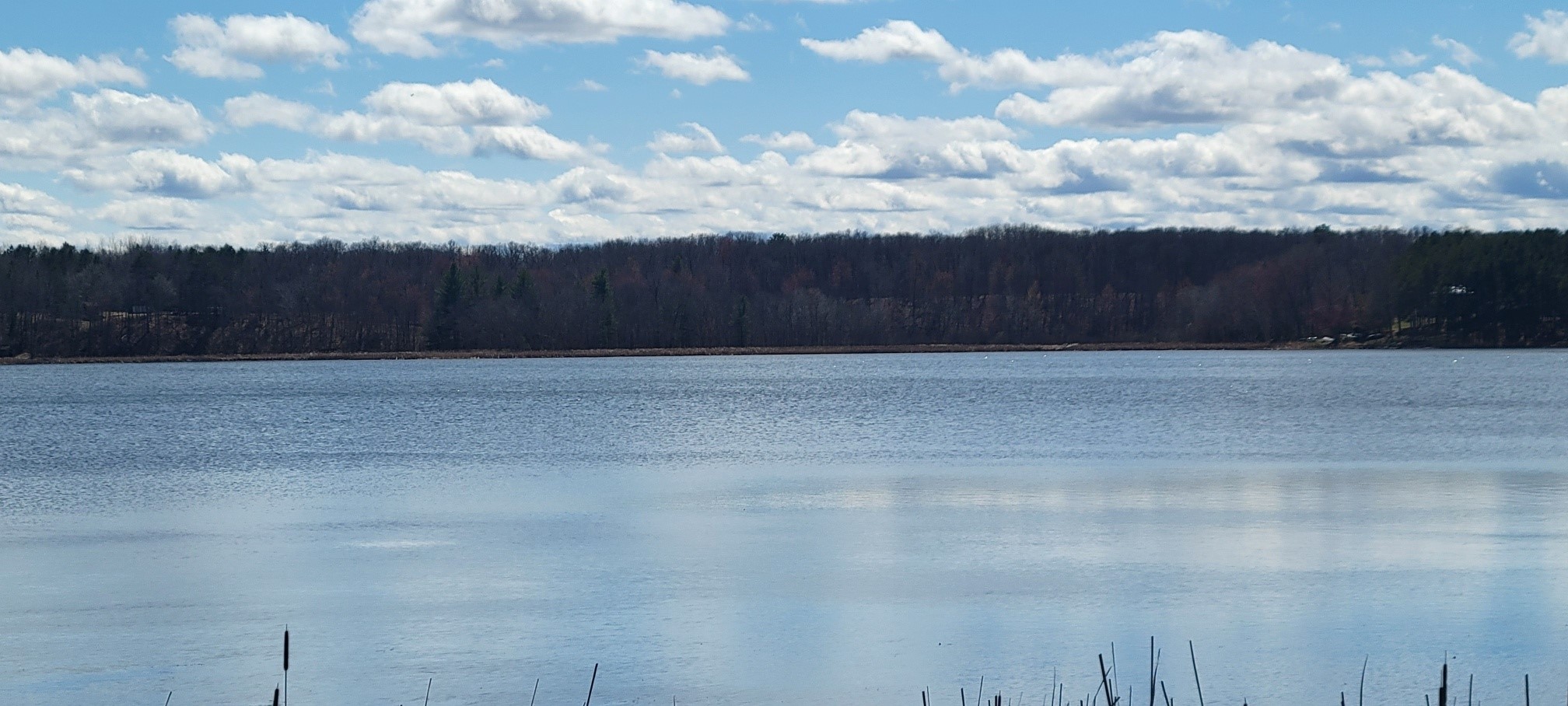 Lot 3 North Rice Lake Road Spooner, WI 54801 - Photo 5 of 12