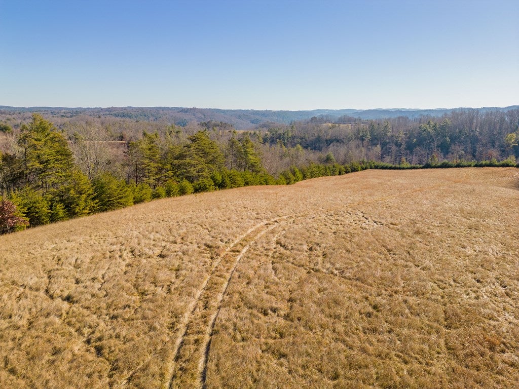 1530 Ridge Road Austinville, VA 24312 - Photo 31 of 62 Gallery Image 31