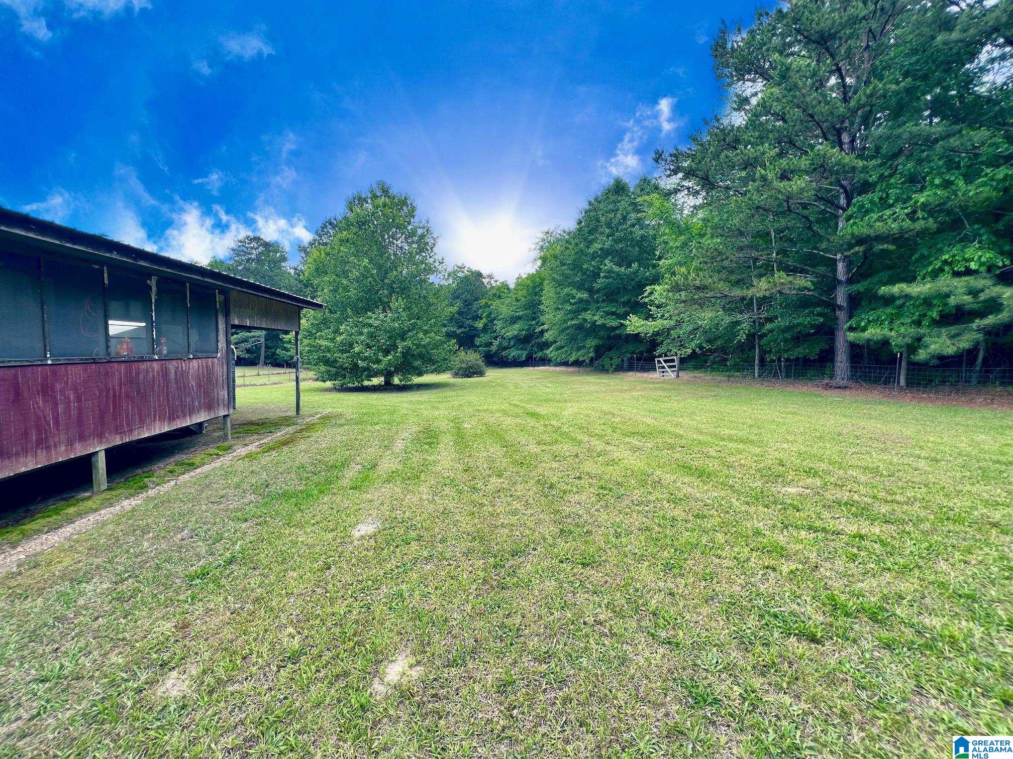 479 Benefield Gap Road Piedmont, AL 36272 - Photo 16 of 25