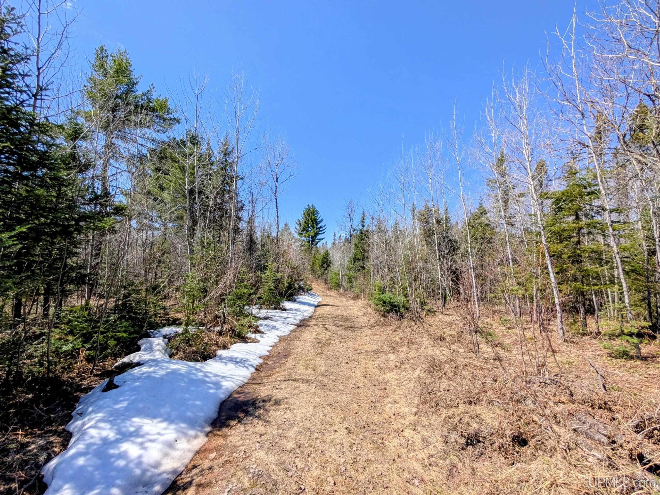 8-acres East Cable Lake Road Crystal Falls, MI 49920 - Photo 13 of 20