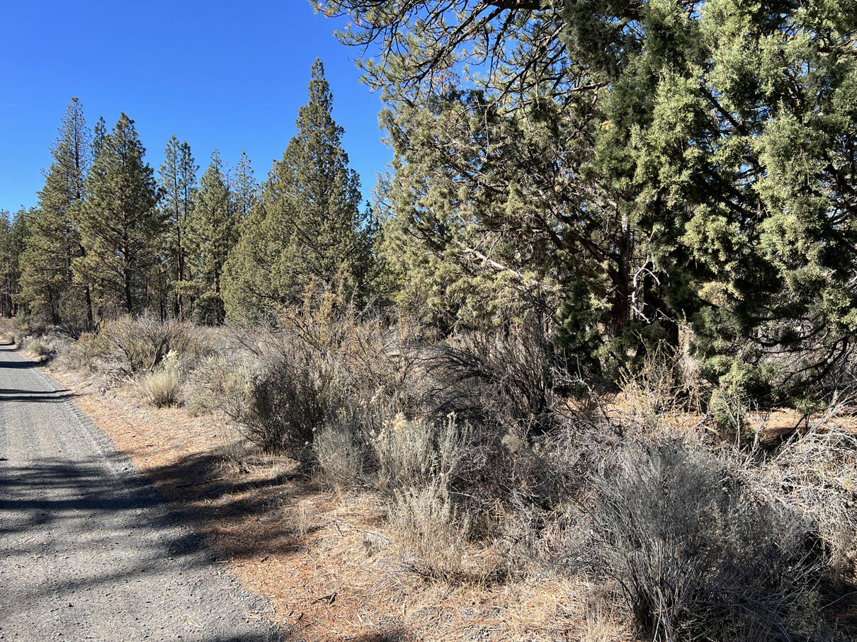 Oregon Pines Road, Unit TL 600 Sprague River, OR 97639 - Photo 25 of 52 IMG_4310