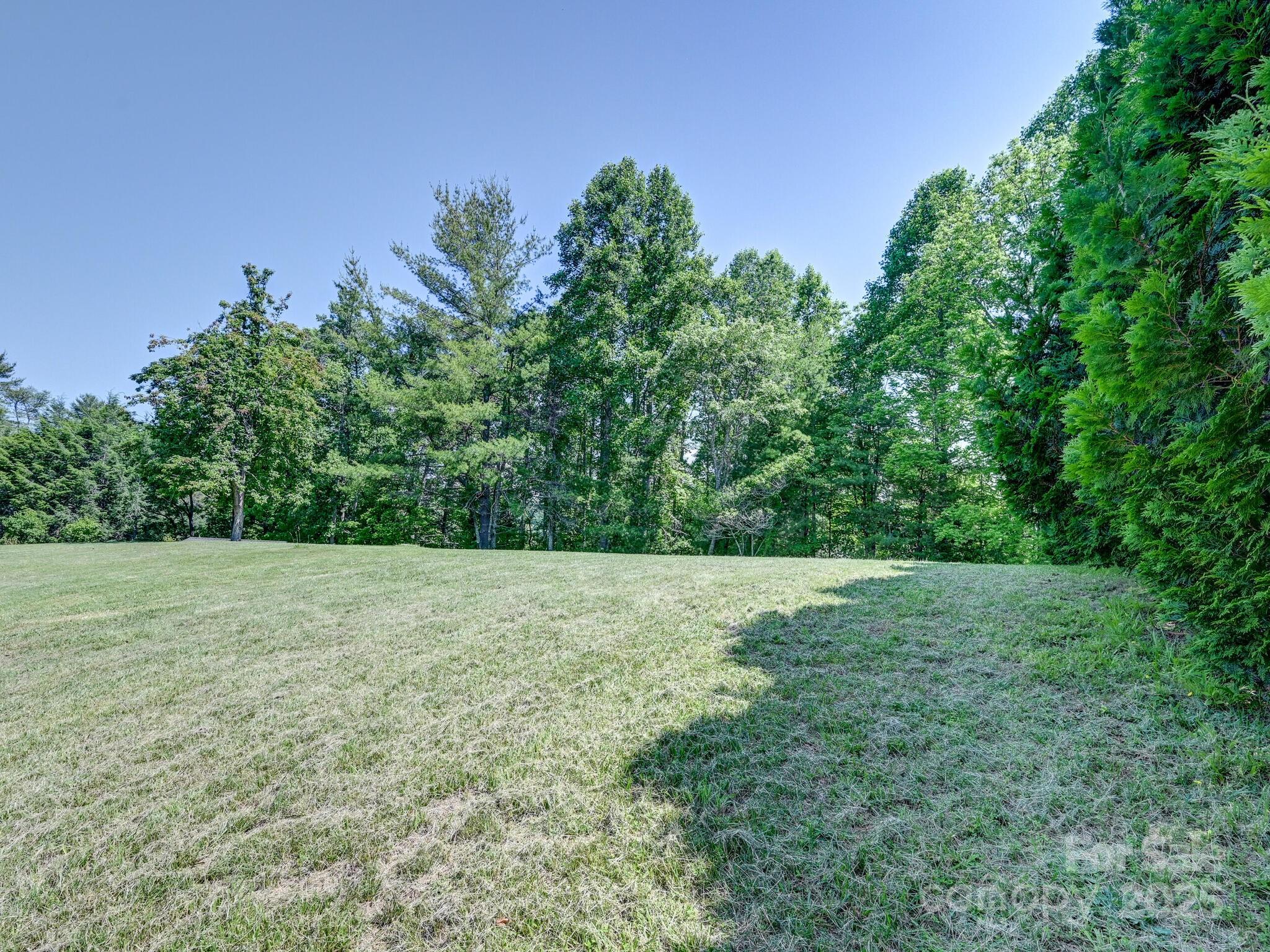 90 Coates Road Marshall, NC 28753 - Photo 42 of 48 a view of a yard with a tree