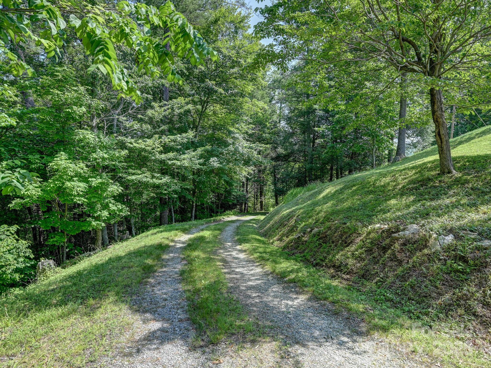 90 Coates Road Marshall, NC 28753 - Photo 43 of 48 a big yard with lots of green space and house