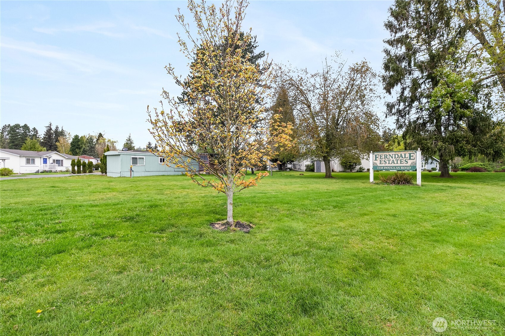 2350 Douglas Road, Unit 39 Ferndale, WA 98248 - Photo 33 of 35 a view of a park with large trees