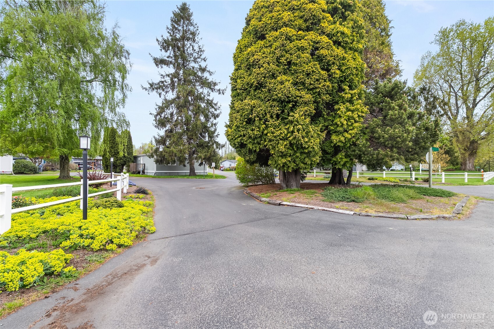 2350 Douglas Road, Unit 39 Ferndale, WA 98248 - Photo 34 of 35 a view of a park with large trees