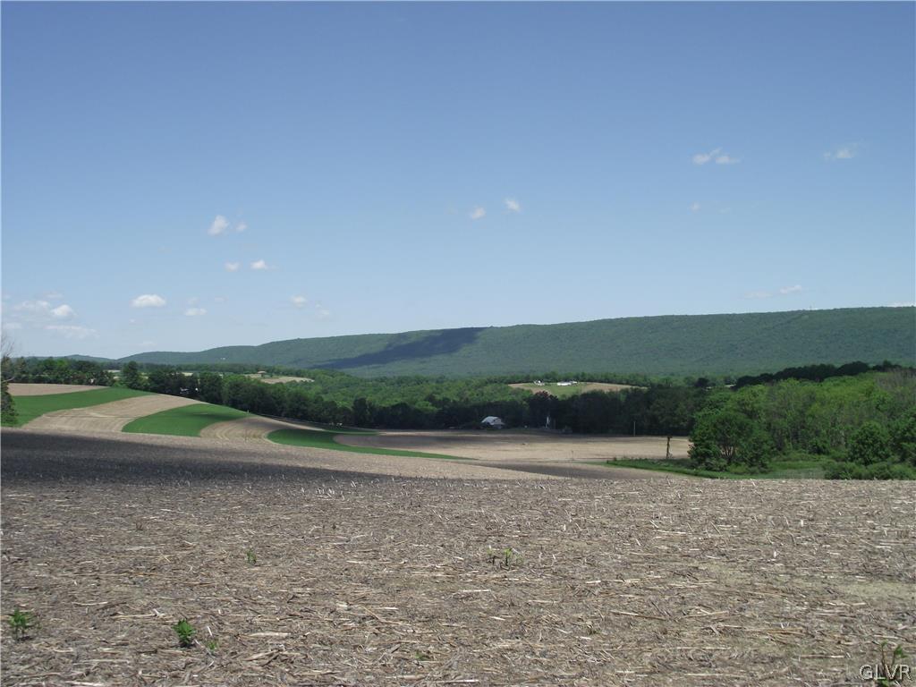 755 South Delps Road Bath, PA 18014 - Photo 8 of 9 a view of a lake in middle of a field