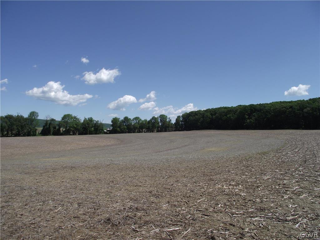 755 South Delps Road Bath, PA 18014 - Photo 9 of 9 a view of a field