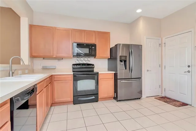 $263,000 | 10132 Pink Palmata Court, Riverview, FL 33578