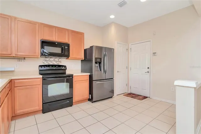 $263,000 | 10132 Pink Palmata Court, Riverview, FL 33578