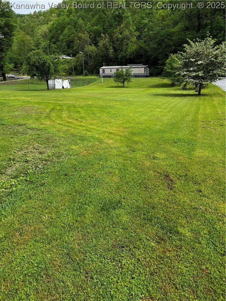 40 Sand Bottom Road Cyclone, WV 24827 - Photo 45 of 46 Gallery Image 45