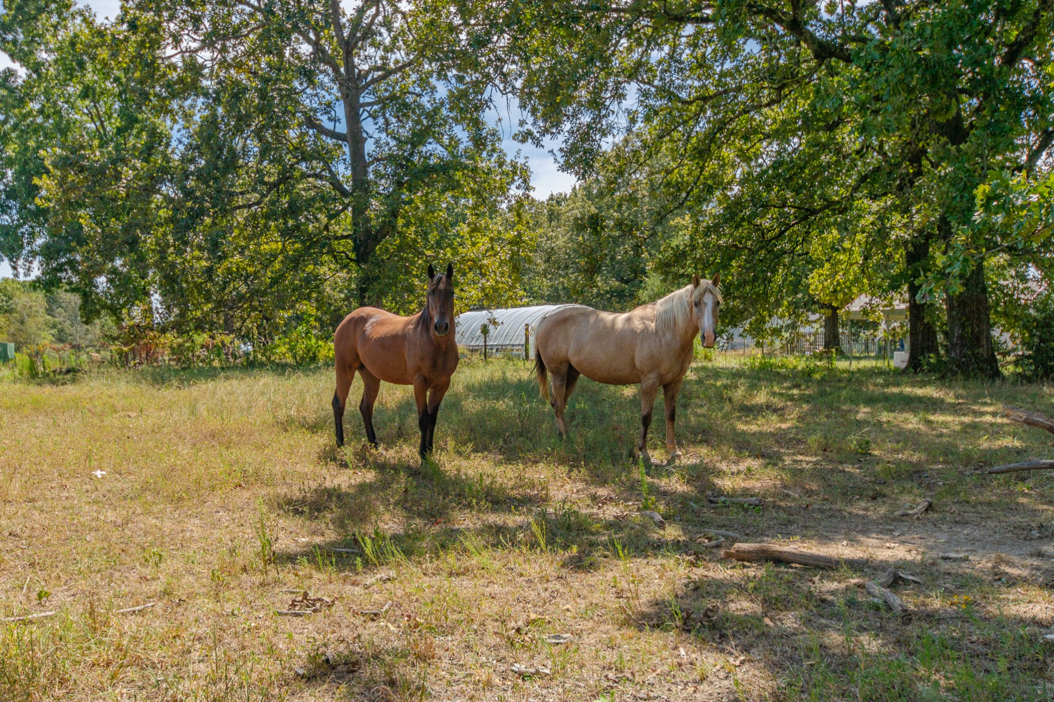 1611 Chisholm Road Cypress Inn, TN 38452 - Photo 12 of 85