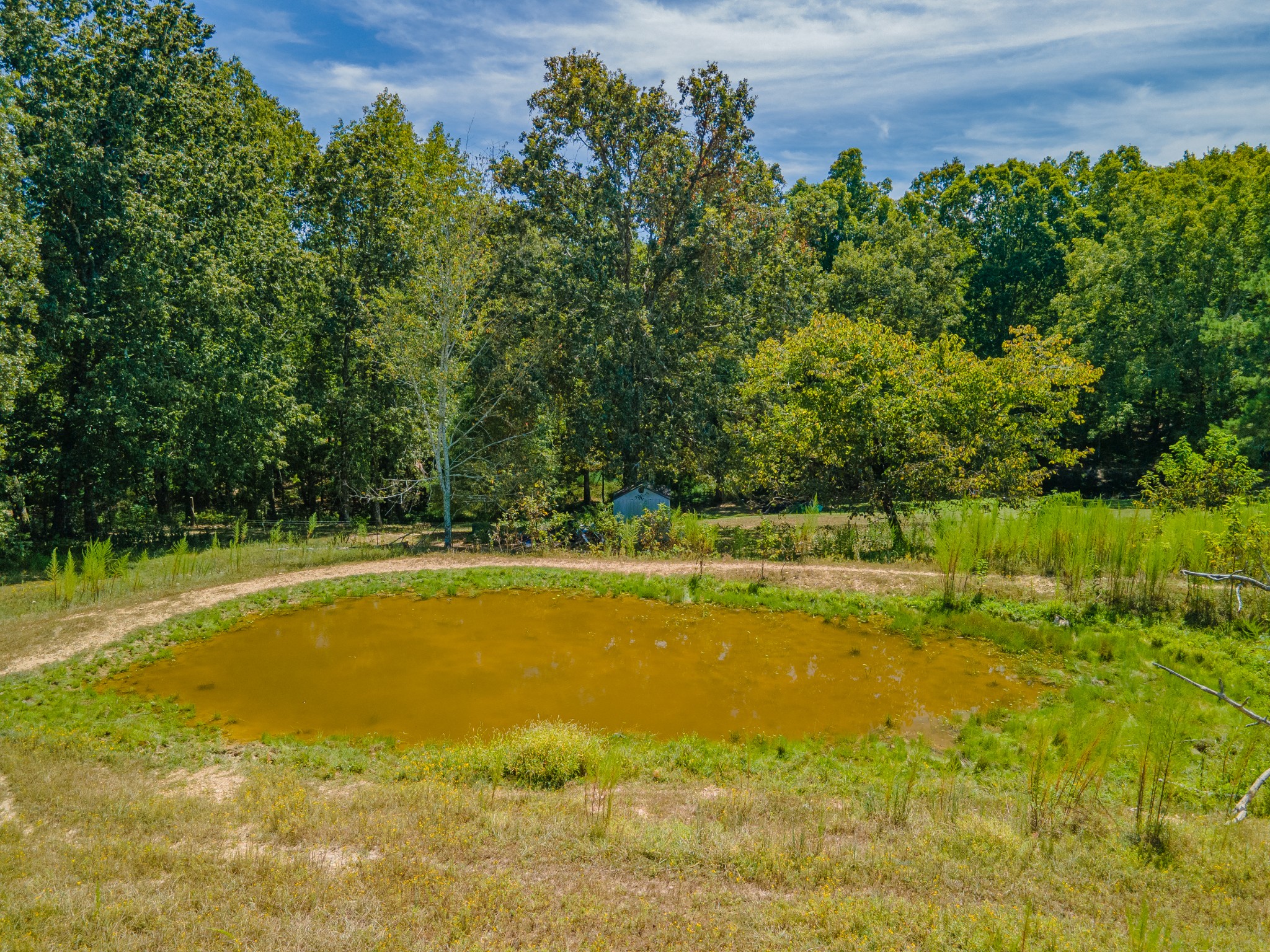 1611 Chisholm Road Cypress Inn, TN 38452 - Photo 13 of 85