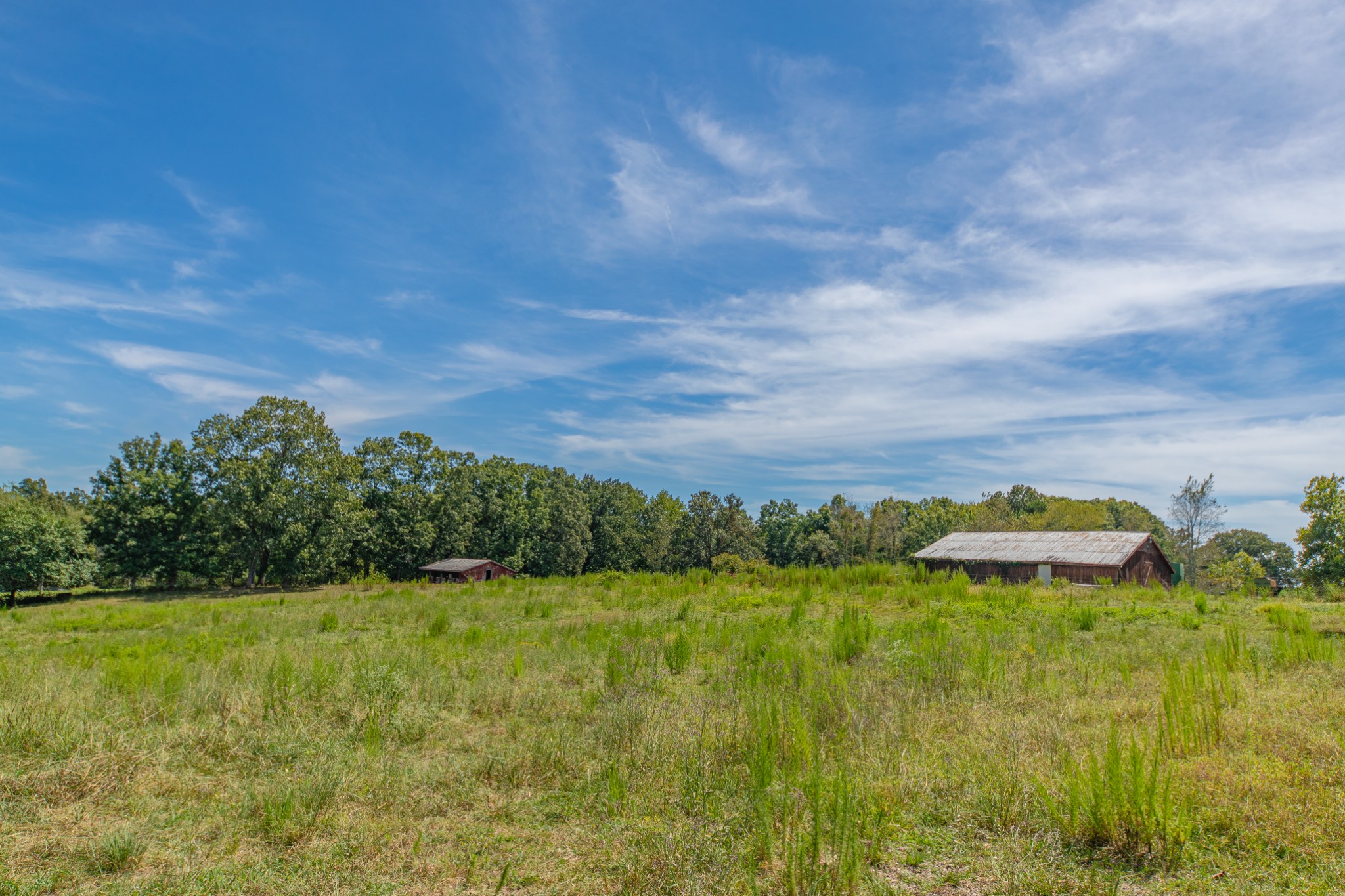 1611 Chisholm Road Cypress Inn, TN 38452 - Photo 50 of 85