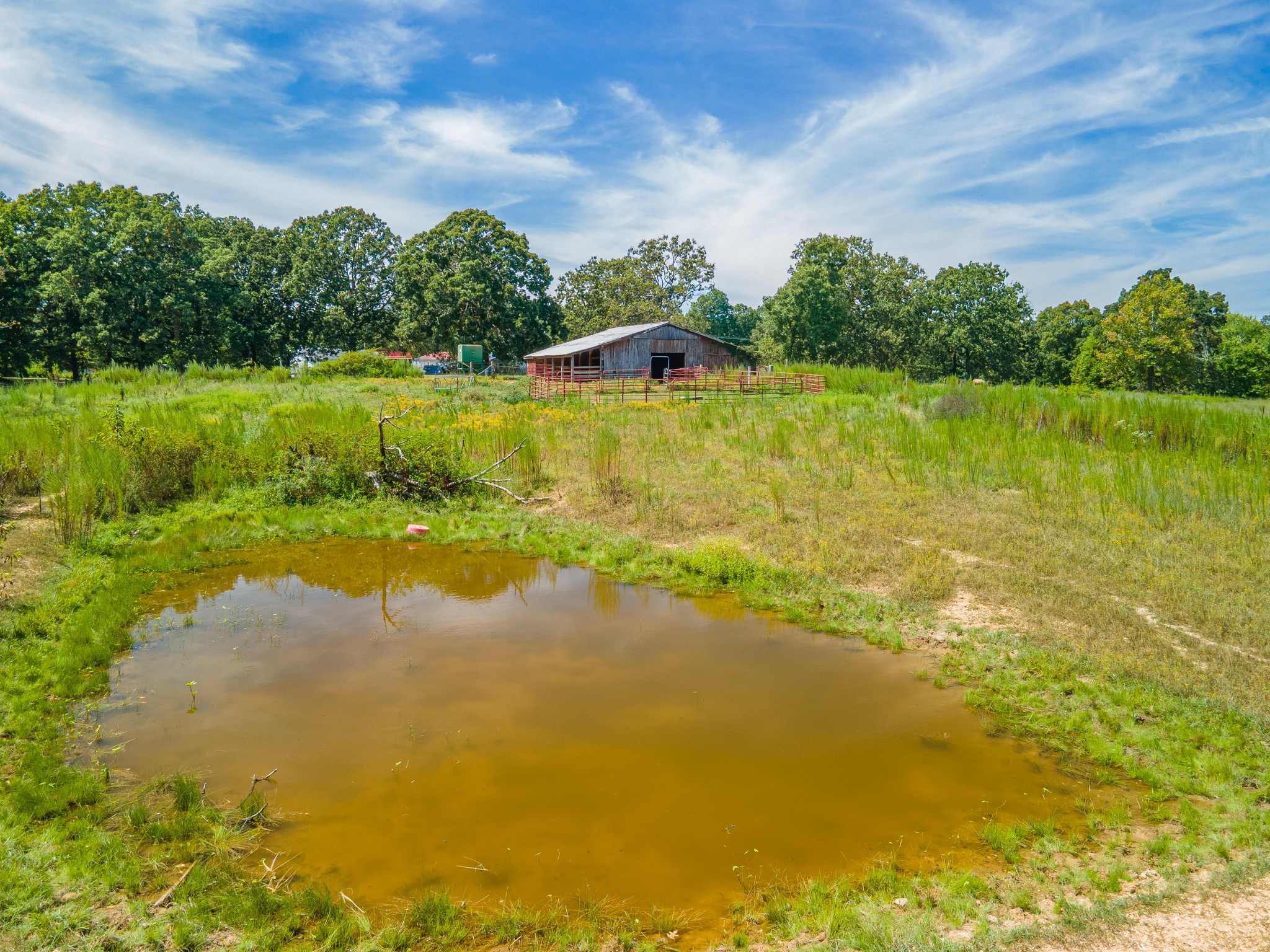 1611 Chisholm Road Cypress Inn, TN 38452 - Photo 51 of 85