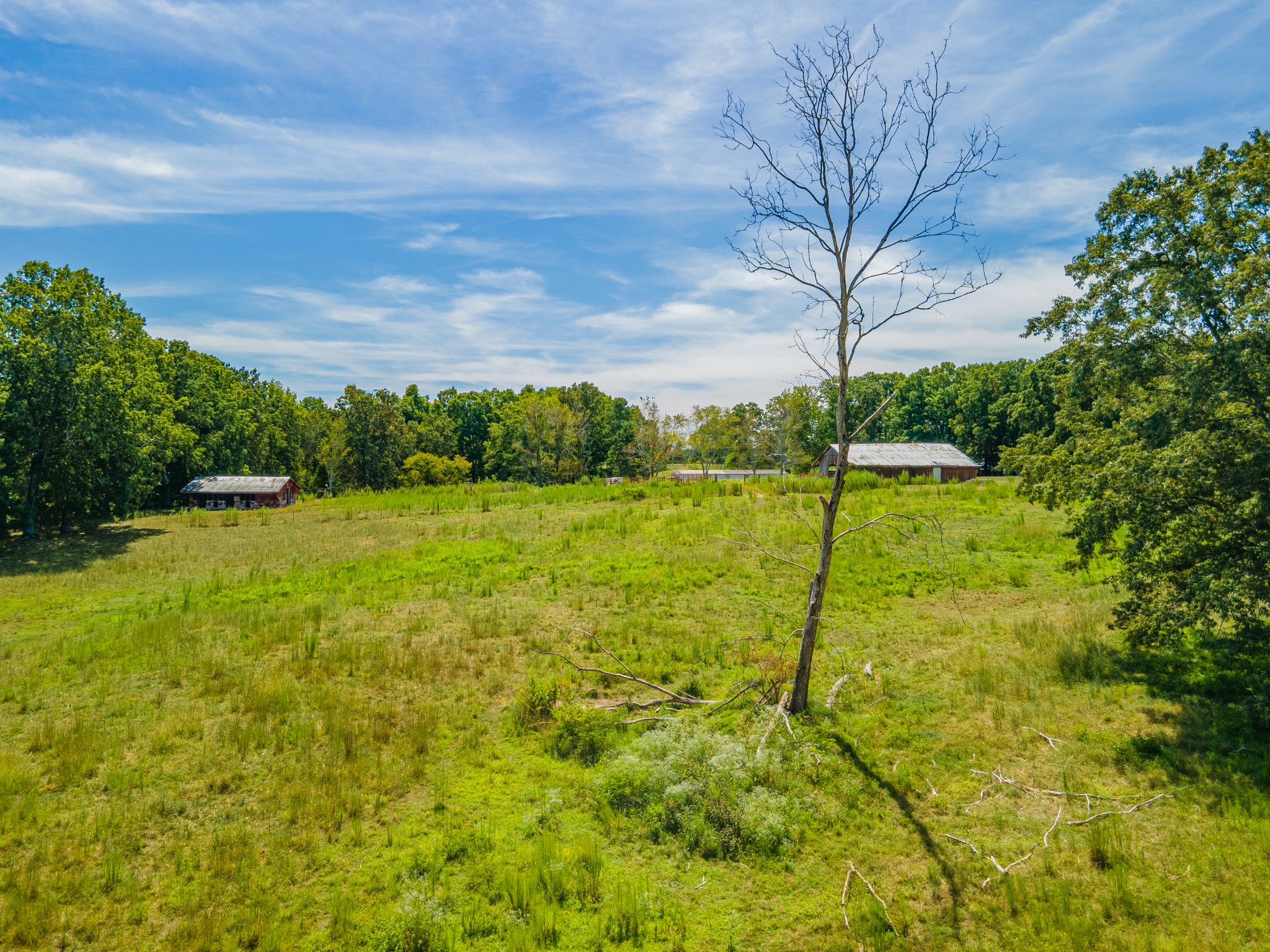 1611 Chisholm Road Cypress Inn, TN 38452 - Photo 54 of 85