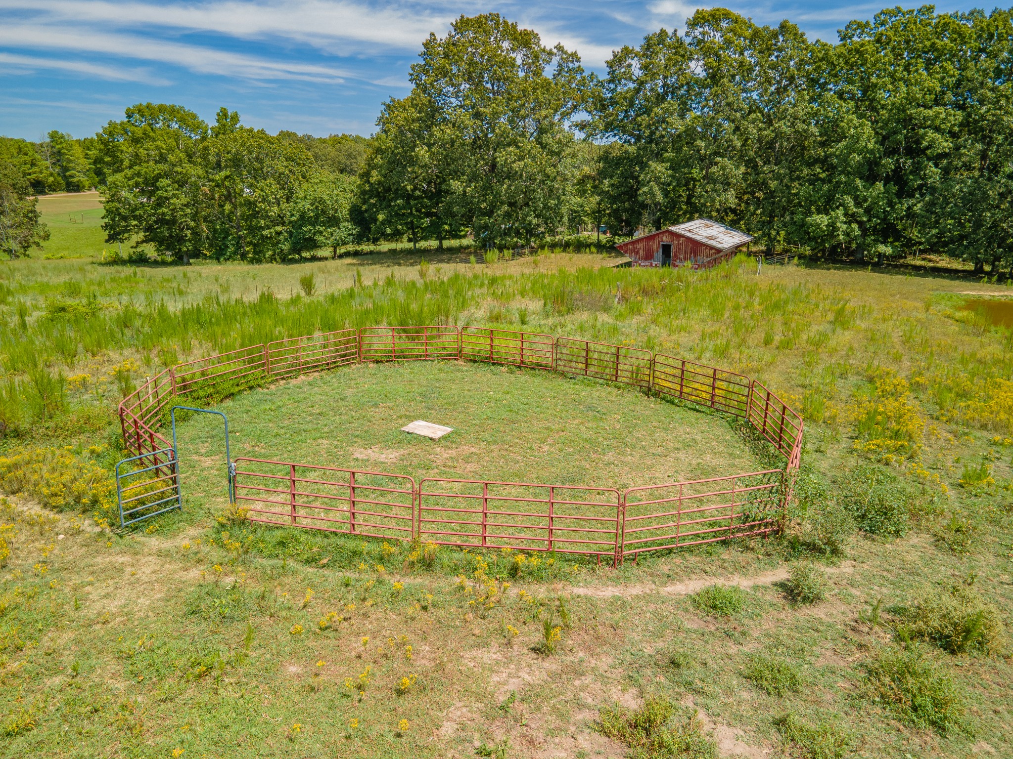 1611 Chisholm Road Cypress Inn, TN 38452 - Photo 6 of 85