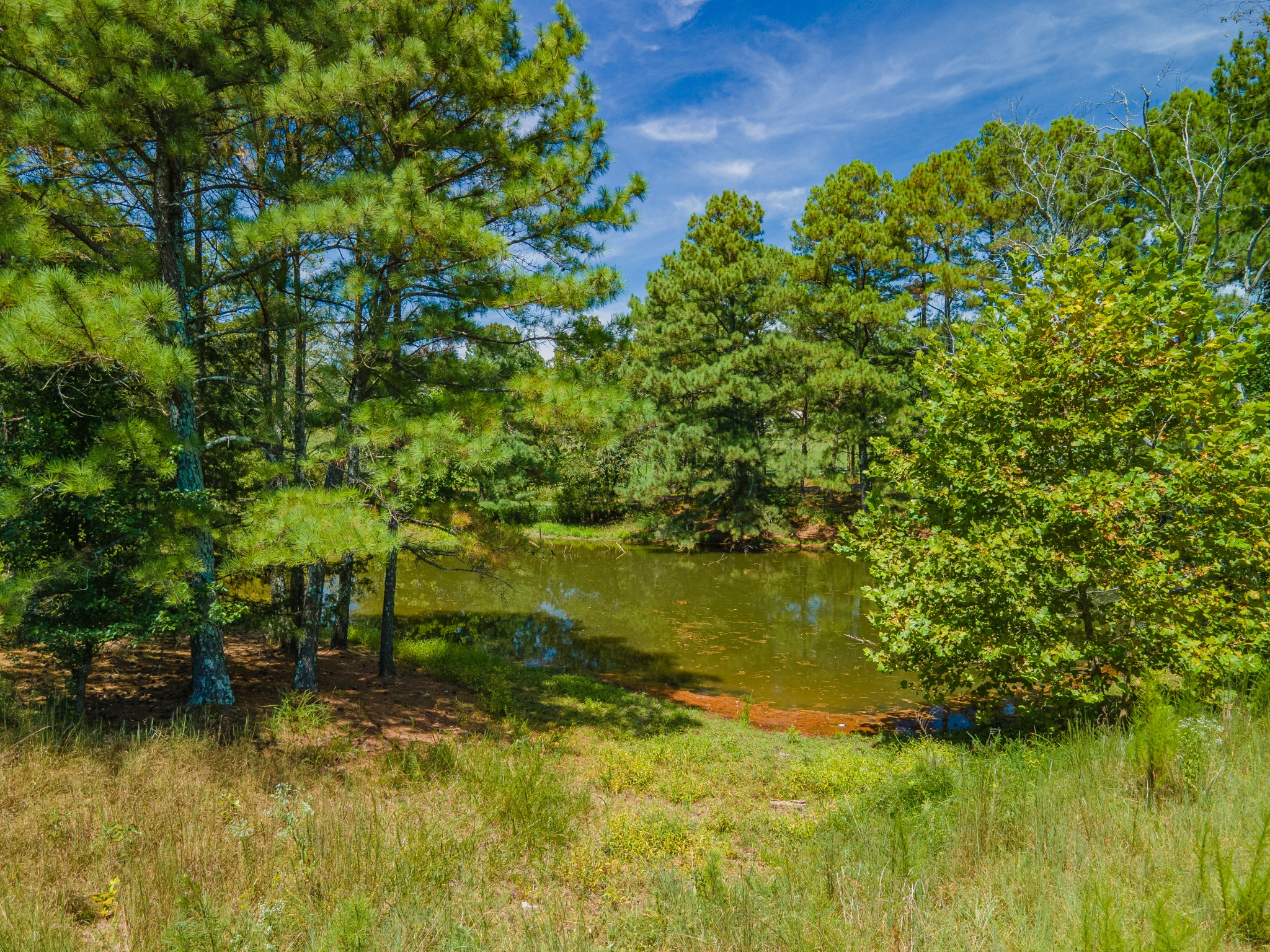 1611 Chisholm Road Cypress Inn, TN 38452 - Photo 62 of 85