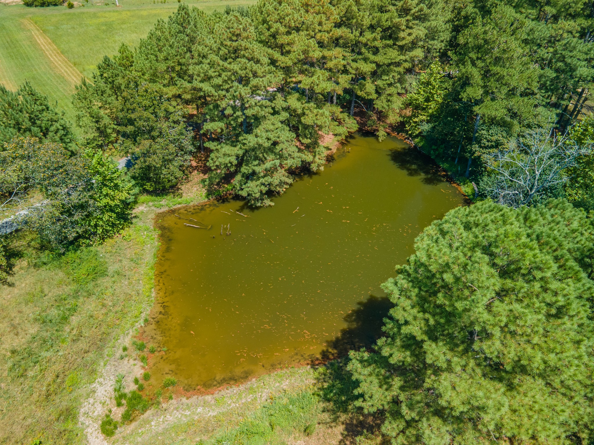 1611 Chisholm Road Cypress Inn, TN 38452 - Photo 63 of 85