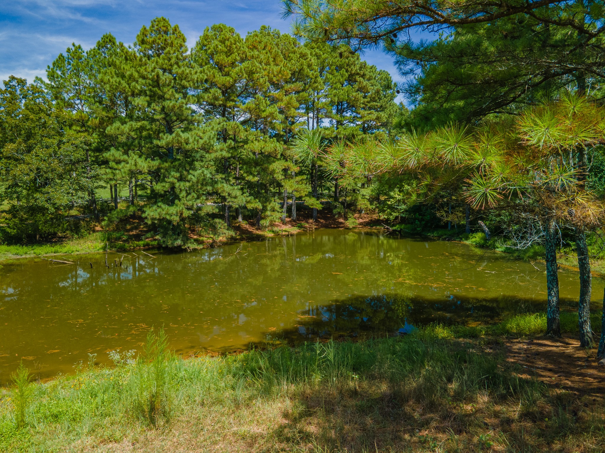 1611 Chisholm Road Cypress Inn, TN 38452 - Photo 64 of 85