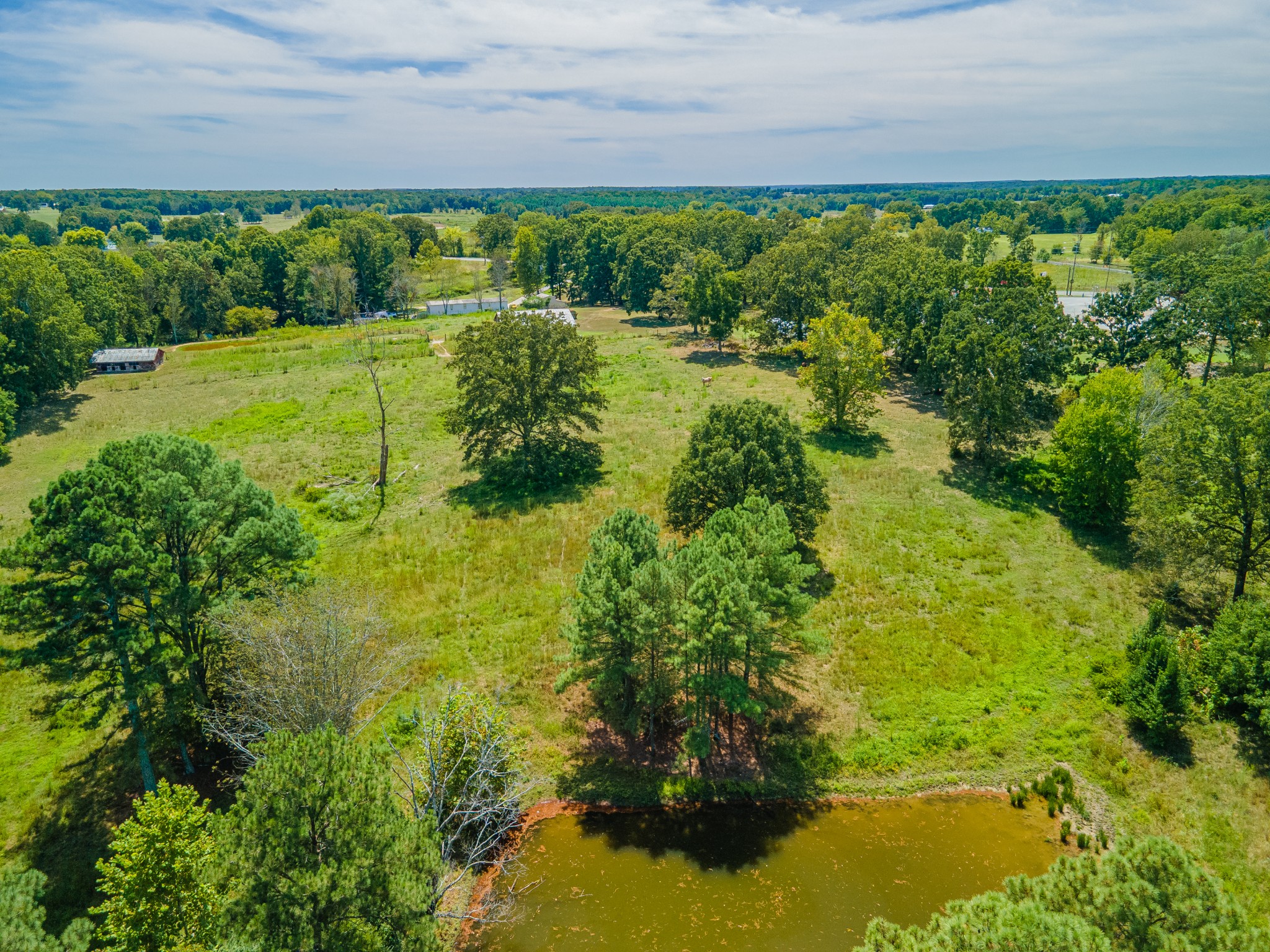 1611 Chisholm Road Cypress Inn, TN 38452 - Photo 66 of 85