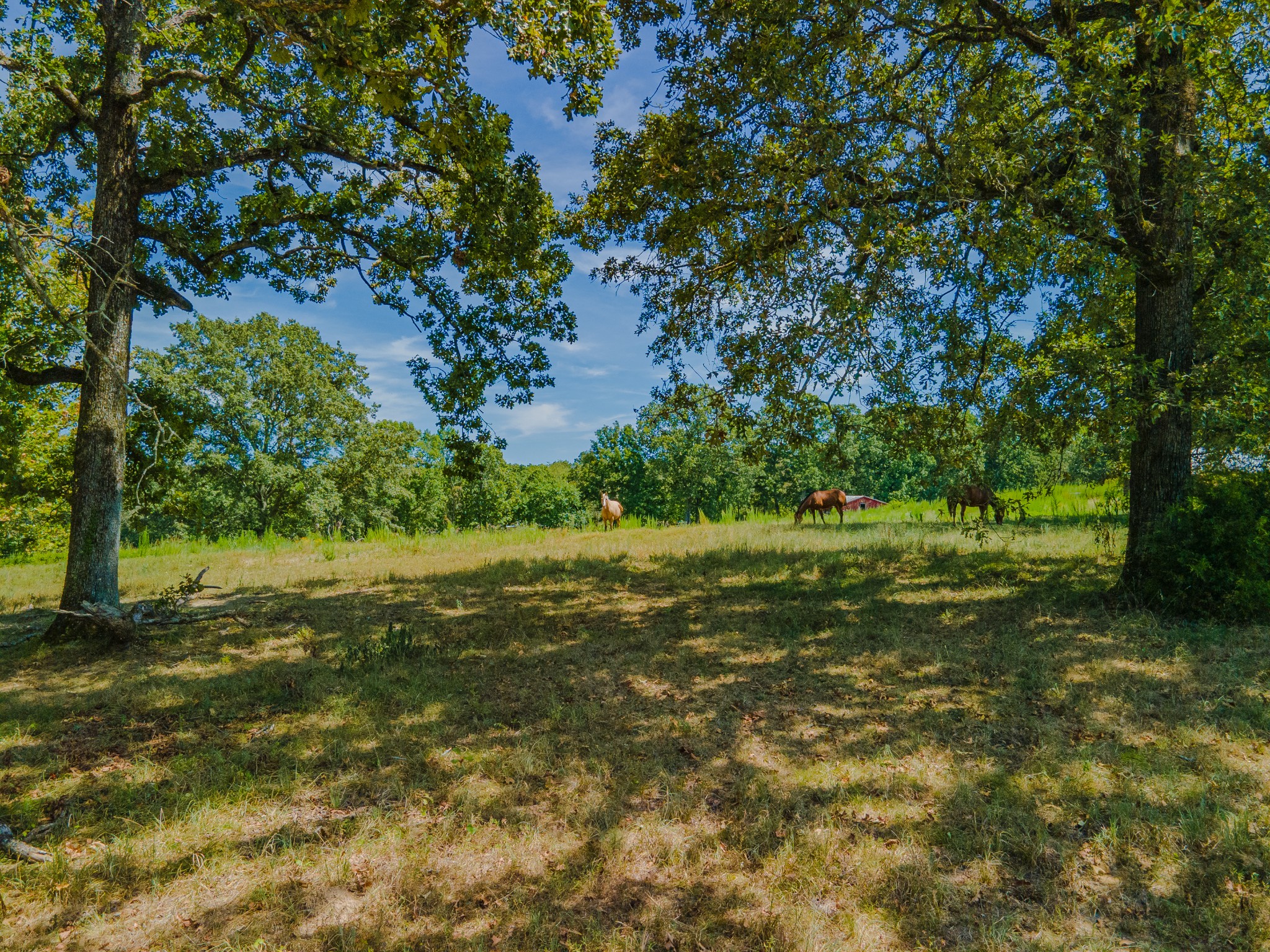 1611 Chisholm Road Cypress Inn, TN 38452 - Photo 72 of 85