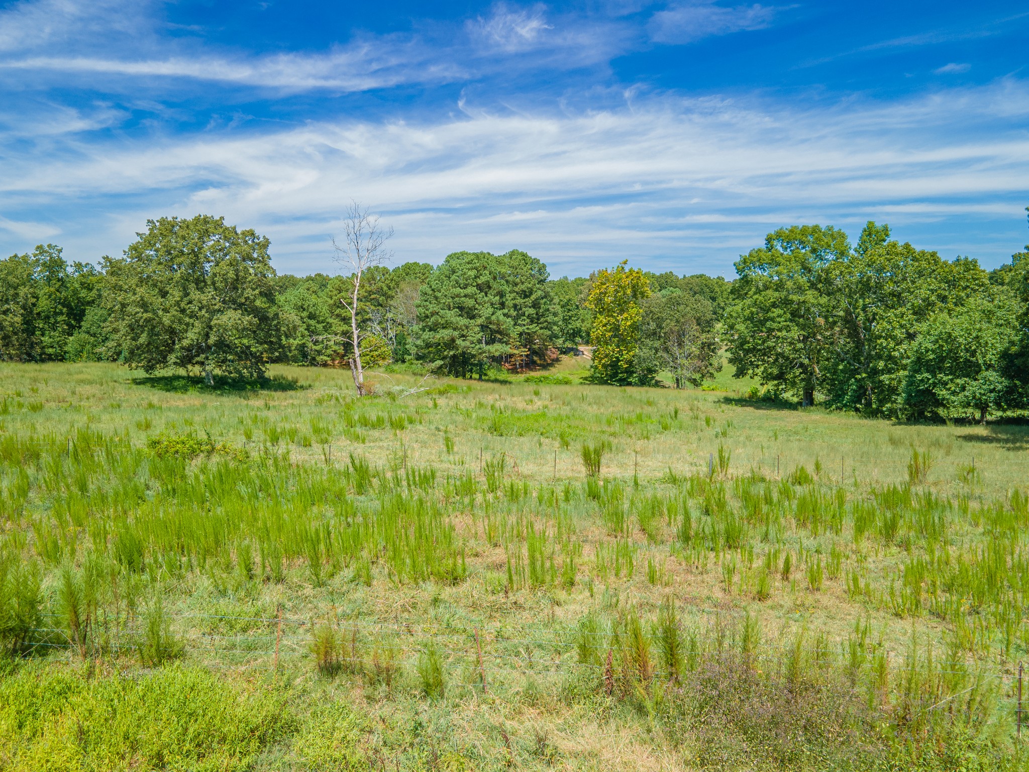 1611 Chisholm Road Cypress Inn, TN 38452 - Photo 73 of 85