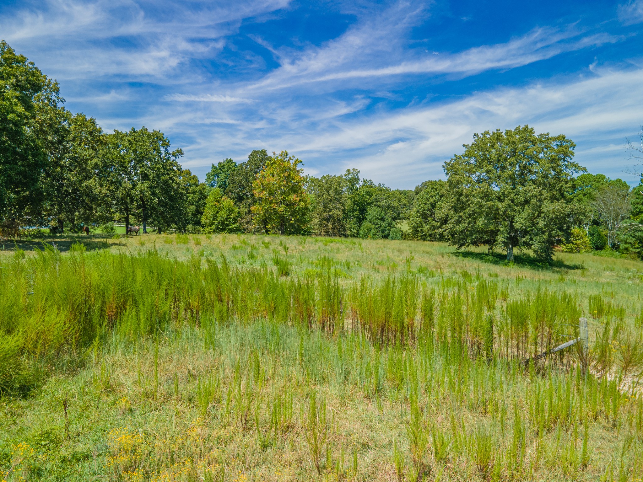 1611 Chisholm Road Cypress Inn, TN 38452 - Photo 75 of 85
