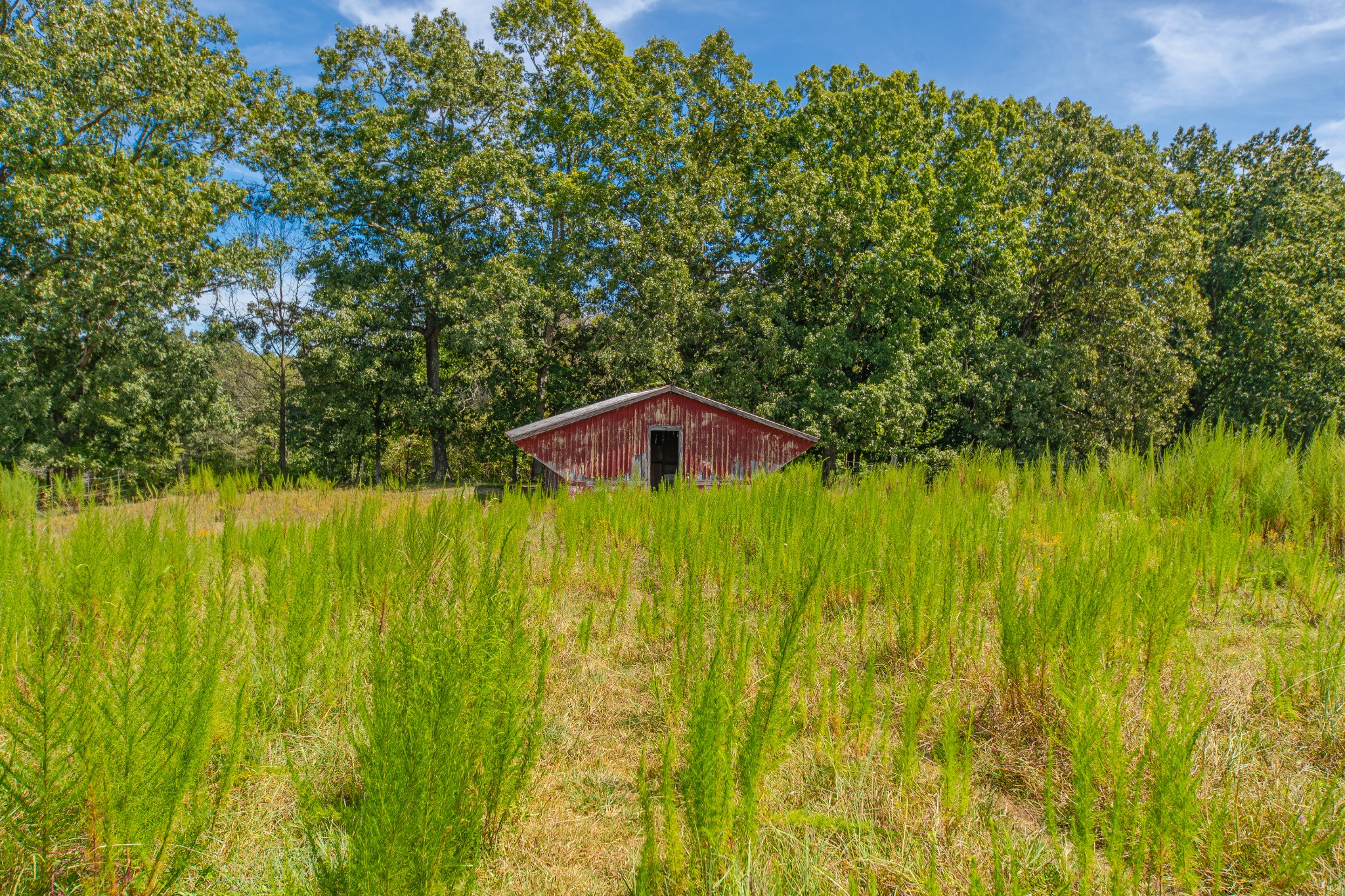 1611 Chisholm Road Cypress Inn, TN 38452 - Photo 8 of 85