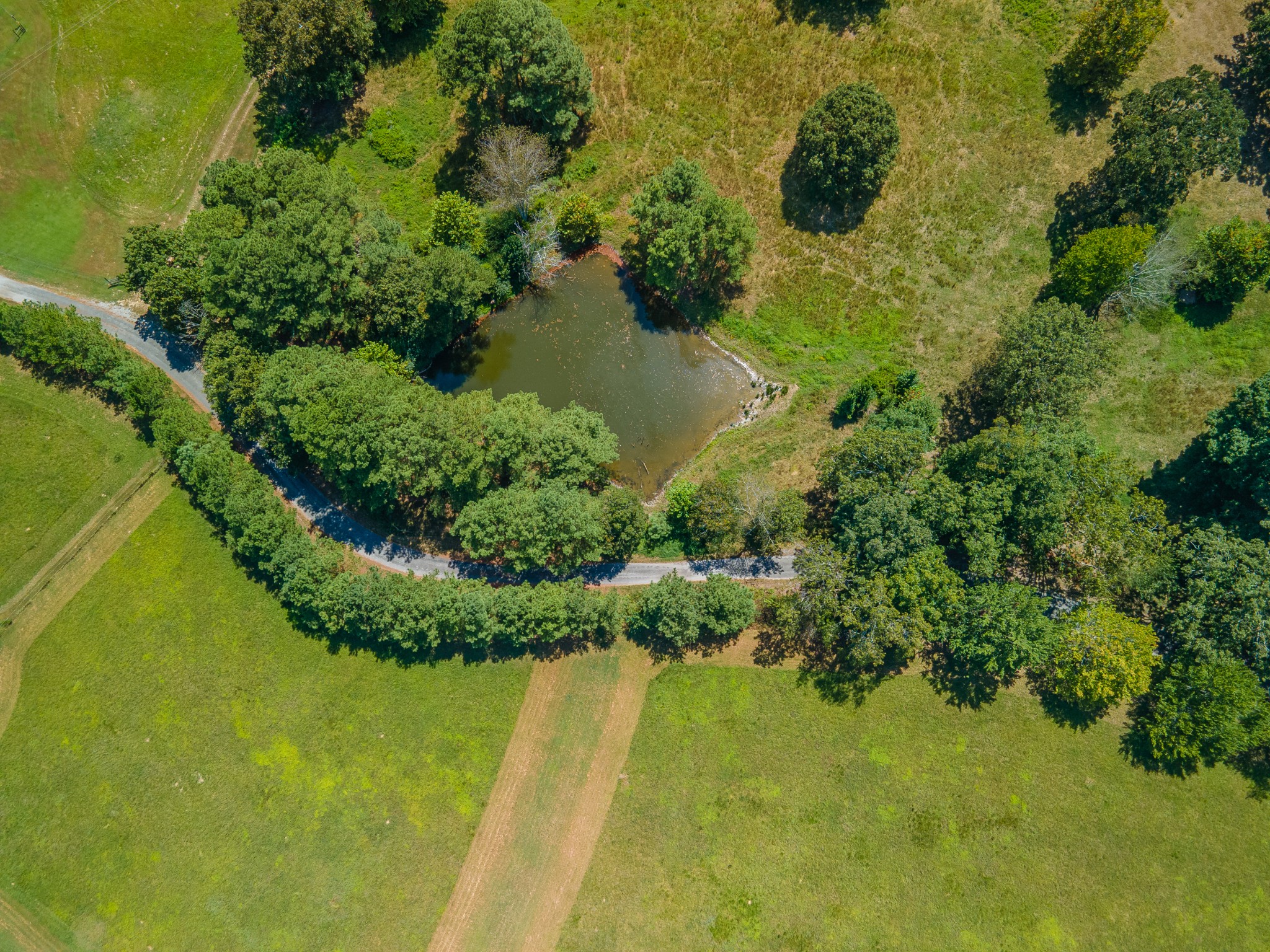 1611 Chisholm Road Cypress Inn, TN 38452 - Photo 81 of 85