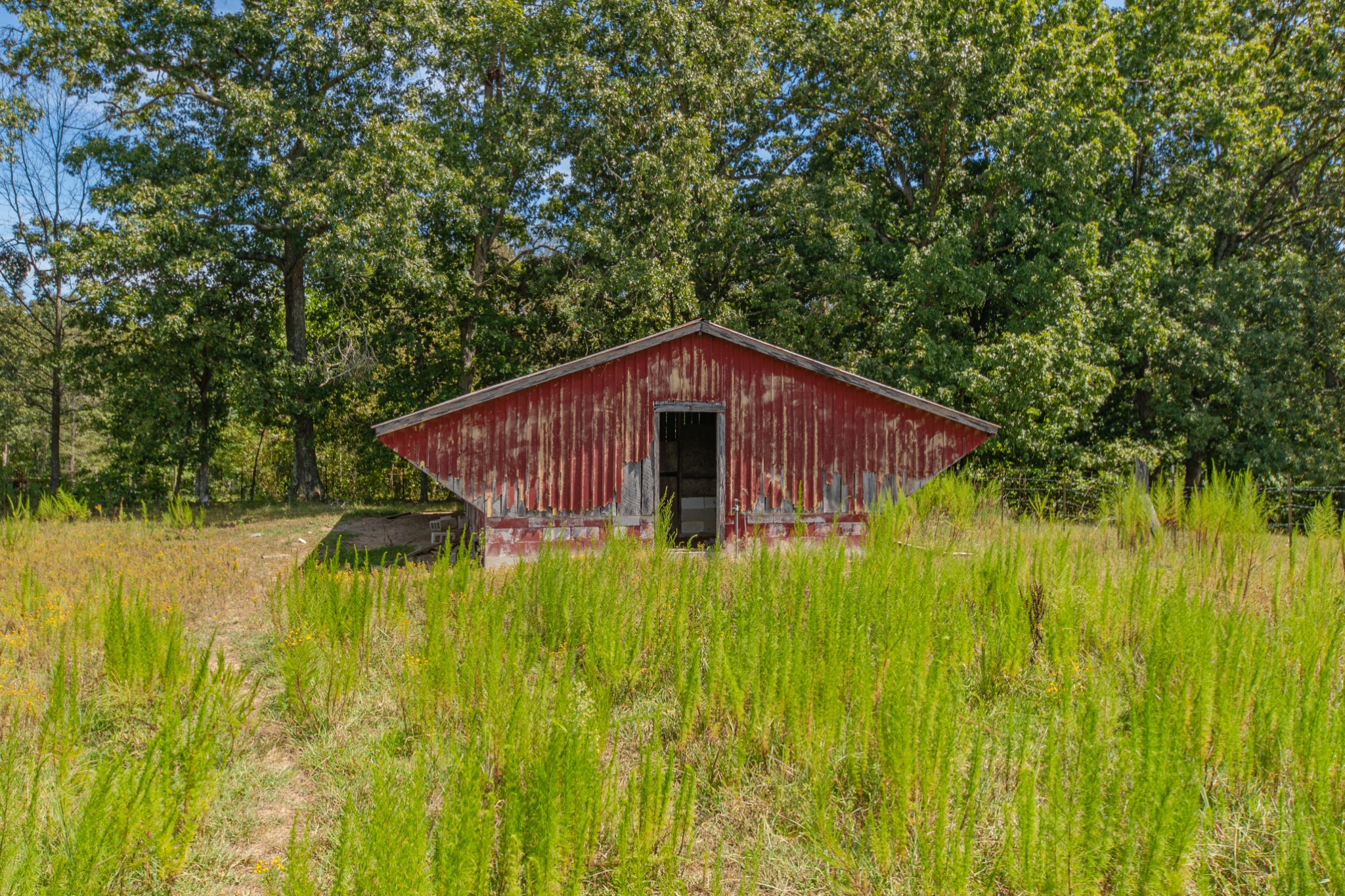 1611 Chisholm Road Cypress Inn, TN 38452 - Photo 9 of 85