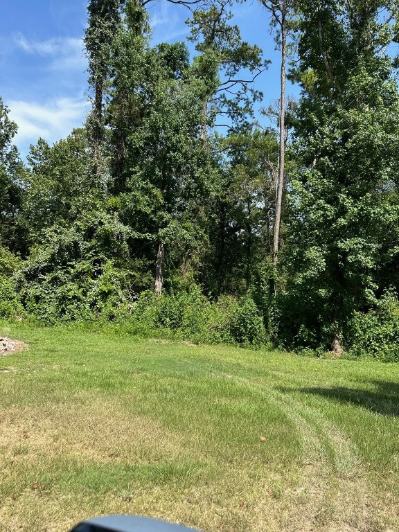 95 Rene Or Cr Dayton, TX 77535 - Photo 2 of 3 a view of a grassy field with trees