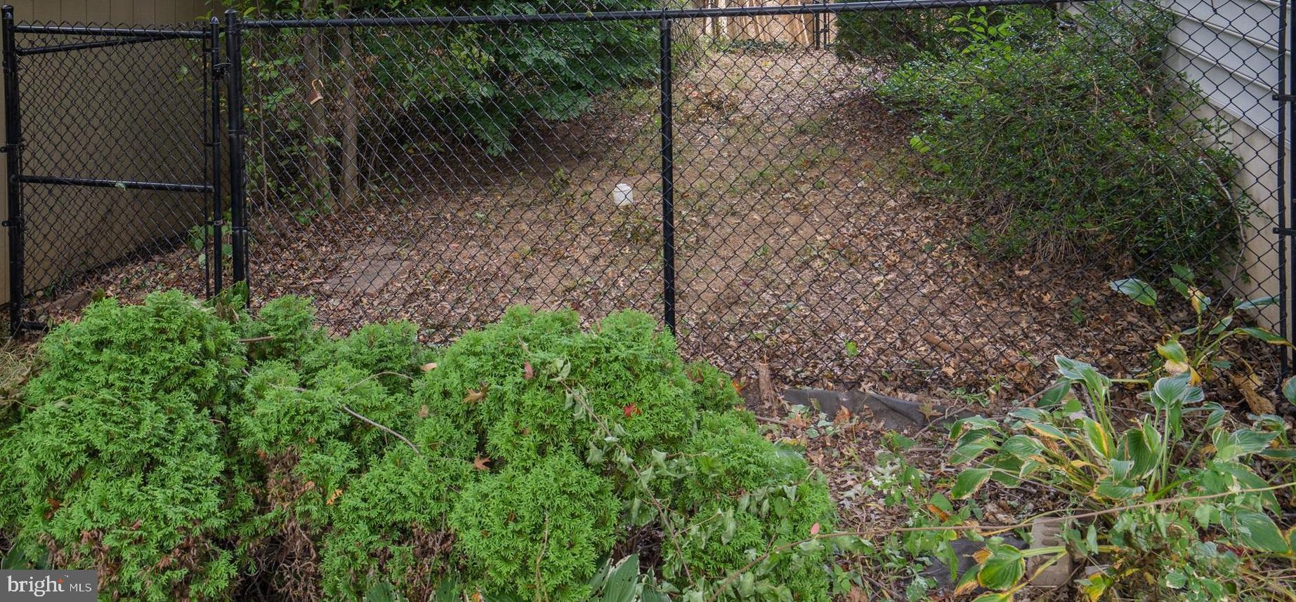 1150 Bon Air Road Havertown, PA 19083 - Photo 31 of 35 Dog run